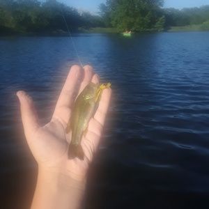 Meet your Posher, Nate